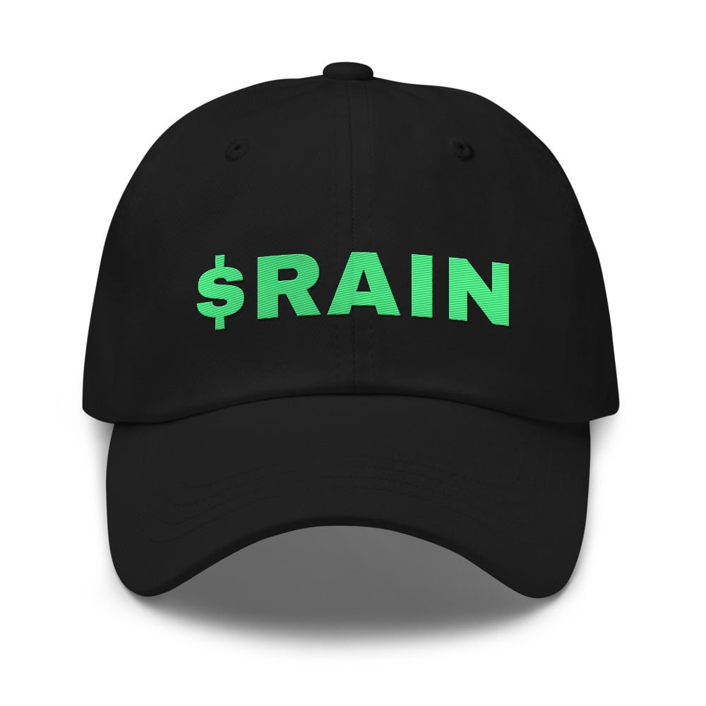 $RAIN-USD embroidered hat