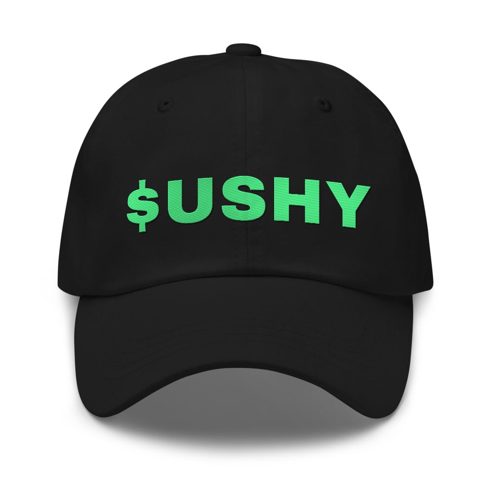 $USHY embroidered hat
